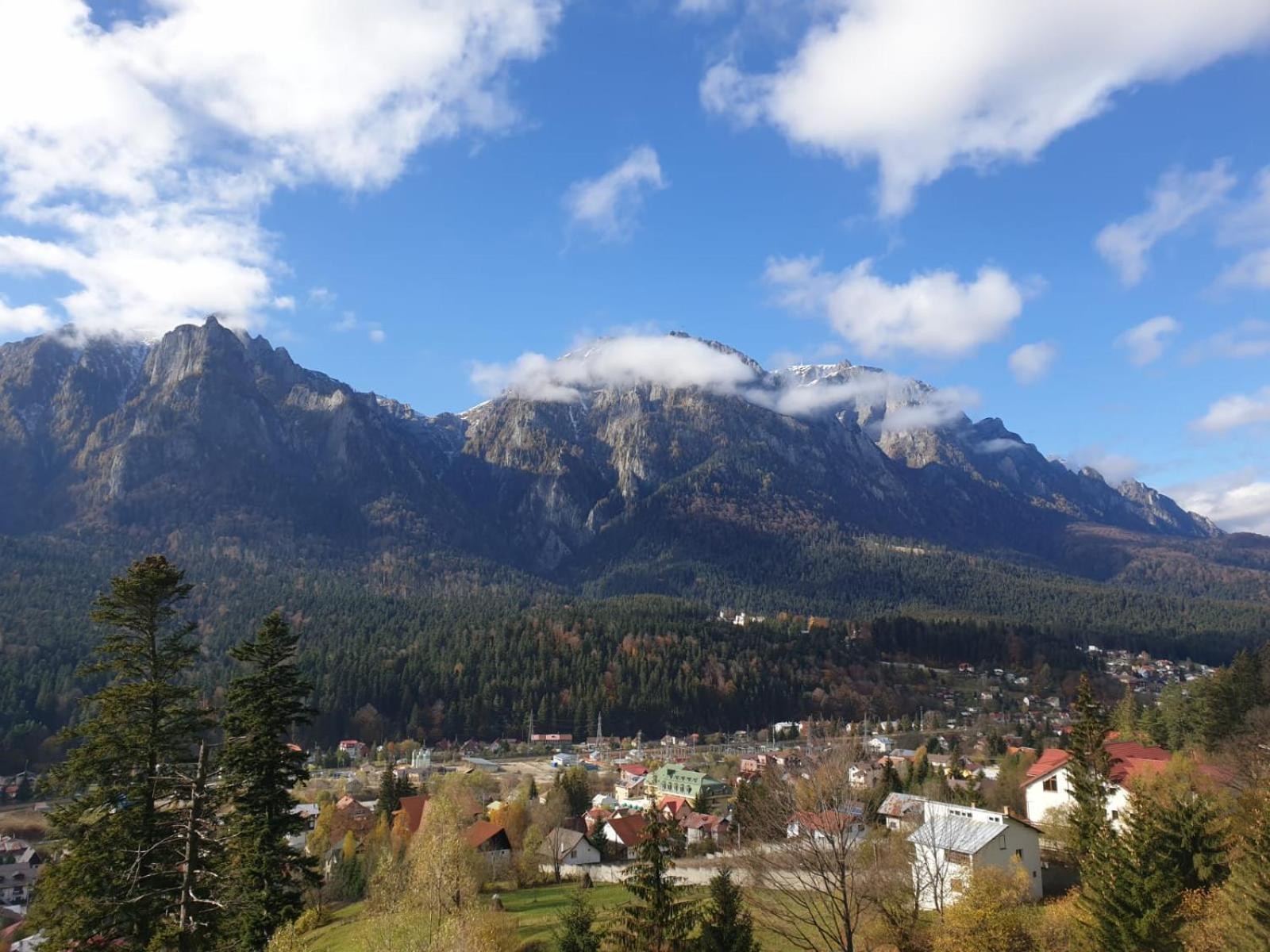 Vila Alunis Буштени Экстерьер фото